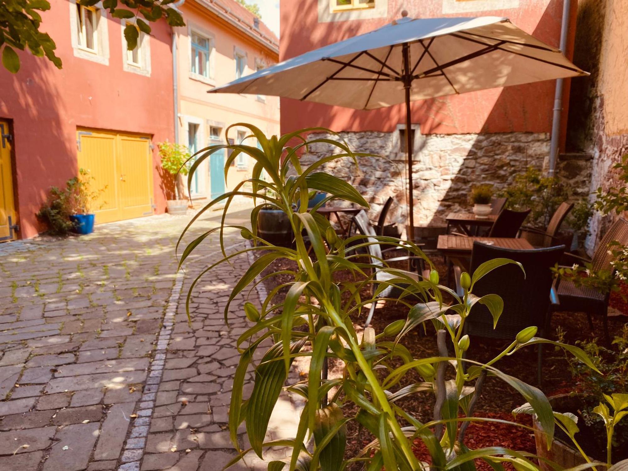 Urlaubshof Altkoe Apartment Radebeul Exterior photo